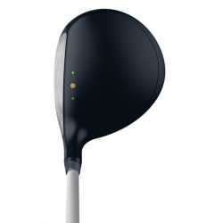 Bois Ping GLE 3 Lady  | Achat sur CarreGolf.com